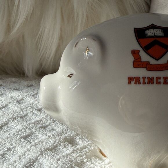 Vintage Princeton University Ivy League Alumni Piggy Bank Gold Detail - Picture 4 of 10